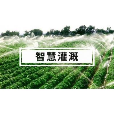 智慧灌溉解決方案 水肥一體化 自動灌溉系統